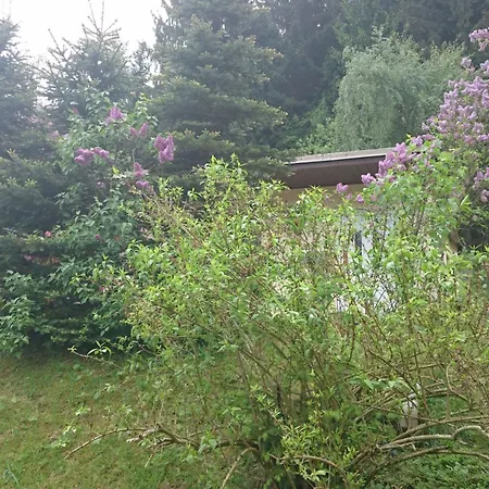 Verena By Interhome Дом отдыха