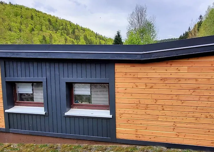 Semesterbostad Verena By Interhome Großrückerswalde