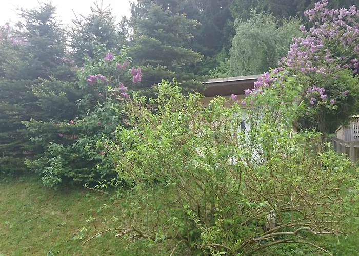 Verena By Interhome Holiday home